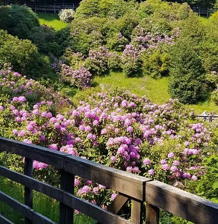 Bellavista Trivero